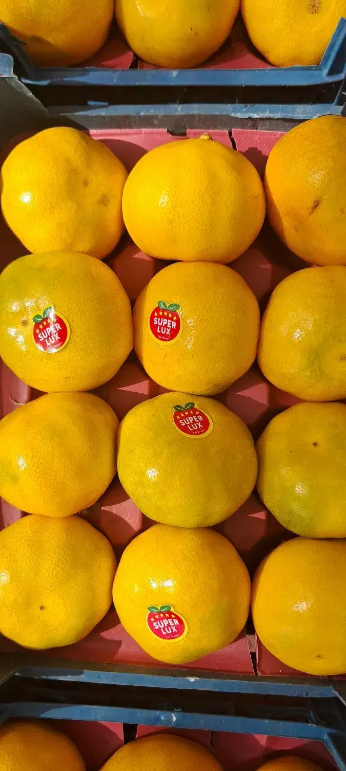 یک سبد نارنگی|خدمات حمل و نقل|انار, |دیوار