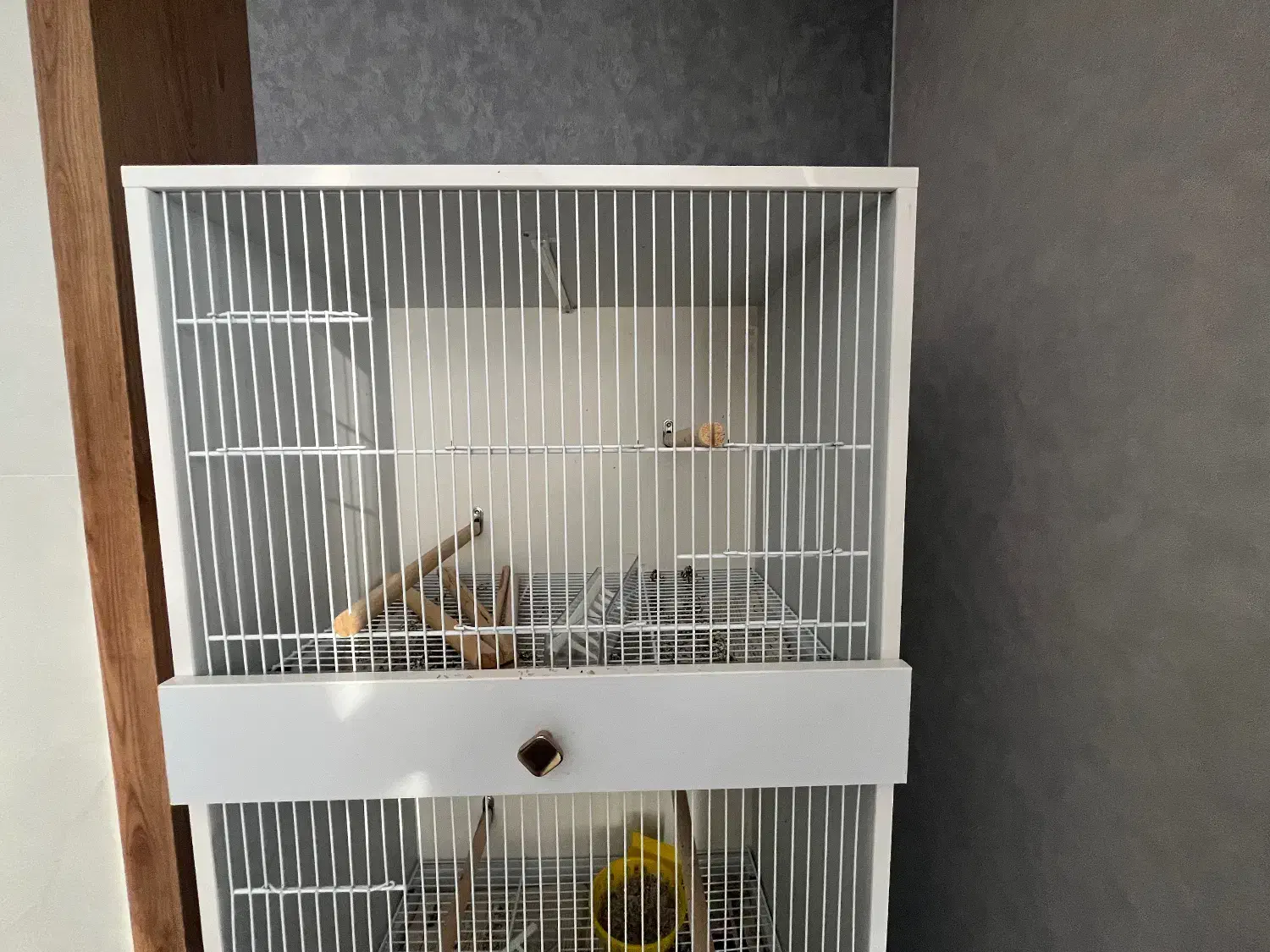 قفس اروپایی ۳ طبقه|لوازم جانبی حیوانات|شیراز, شهرک گلستان|دیوار