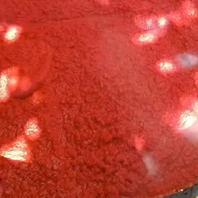 رب گوجه فرنگی به روش مامان بزرگ|خوردنی و آشامیدنی|تبریز, |دیوار