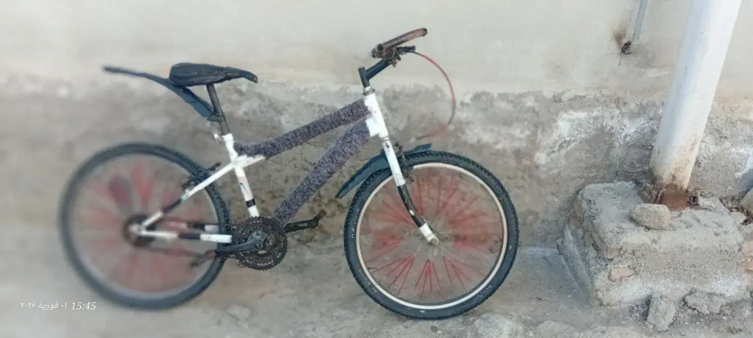 دوچرخه ۲۴|دوچرخه، اسکیت، اسکوتر|قصابه, |دیوار