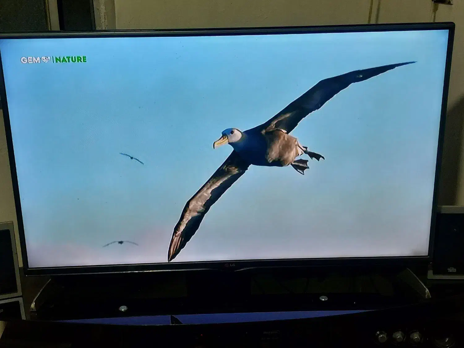 تلویزیون الجی کره ای|تلویزیون و پروژکتور|رانکوه, |دیوار