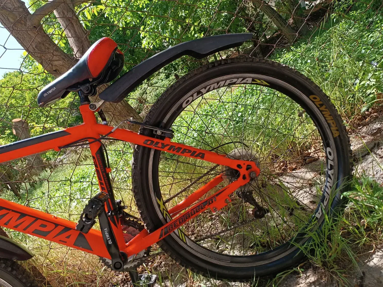 دوچرخه ی المپیا سایز 26|دوچرخه، اسکیت، اسکوتر|هشتگرد, هیو|دیوار