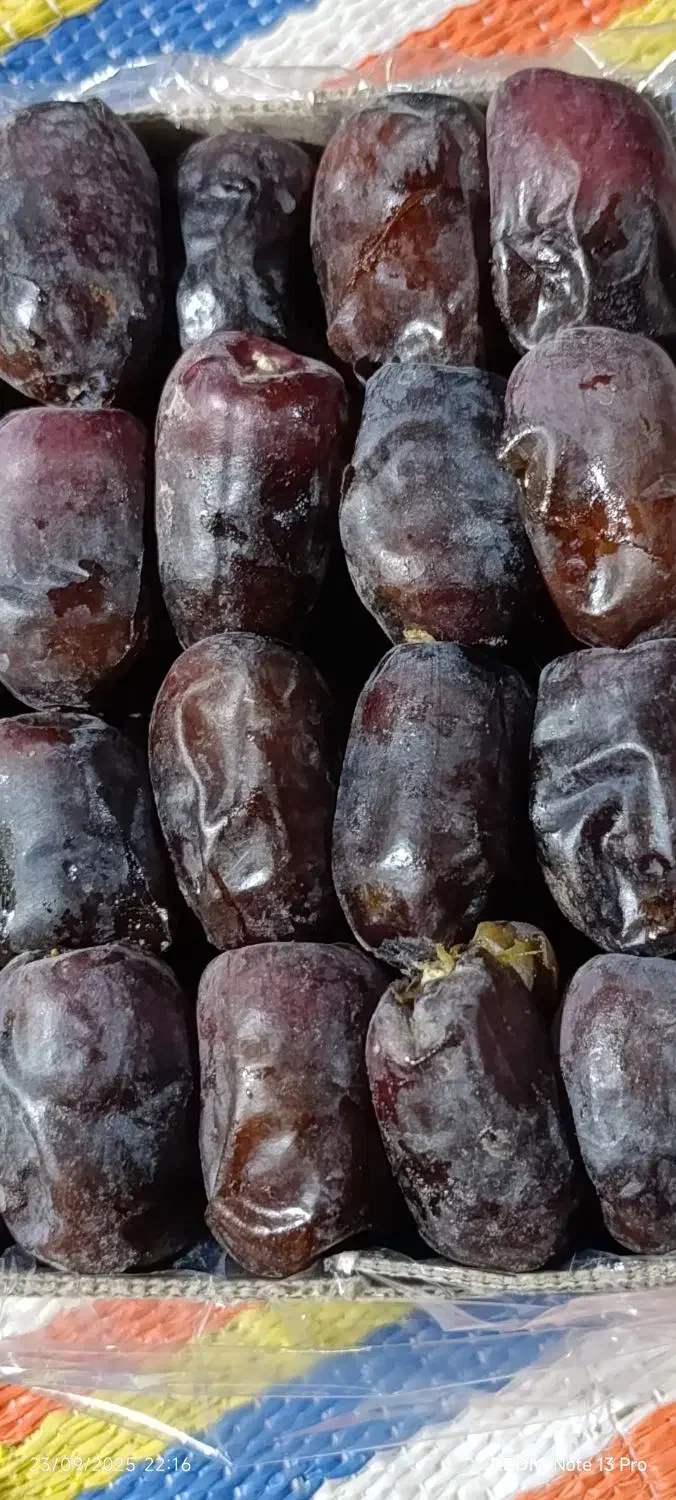 خرمایی درجه یک باغ دشت بم|خوردنی و آشامیدنی|بم, |دیوار