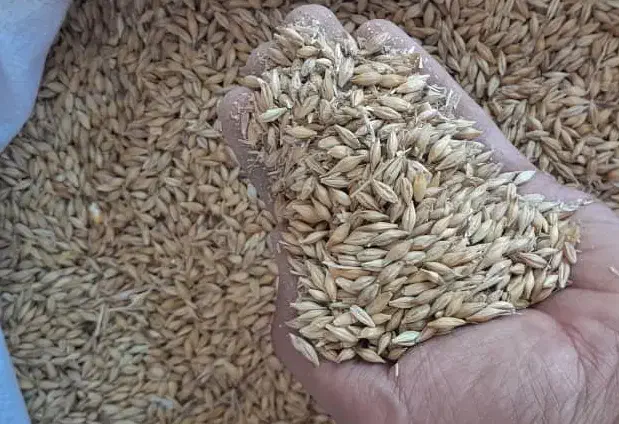 جو روس|لوازم جانبی حیوانات|شهرضا, |دیوار