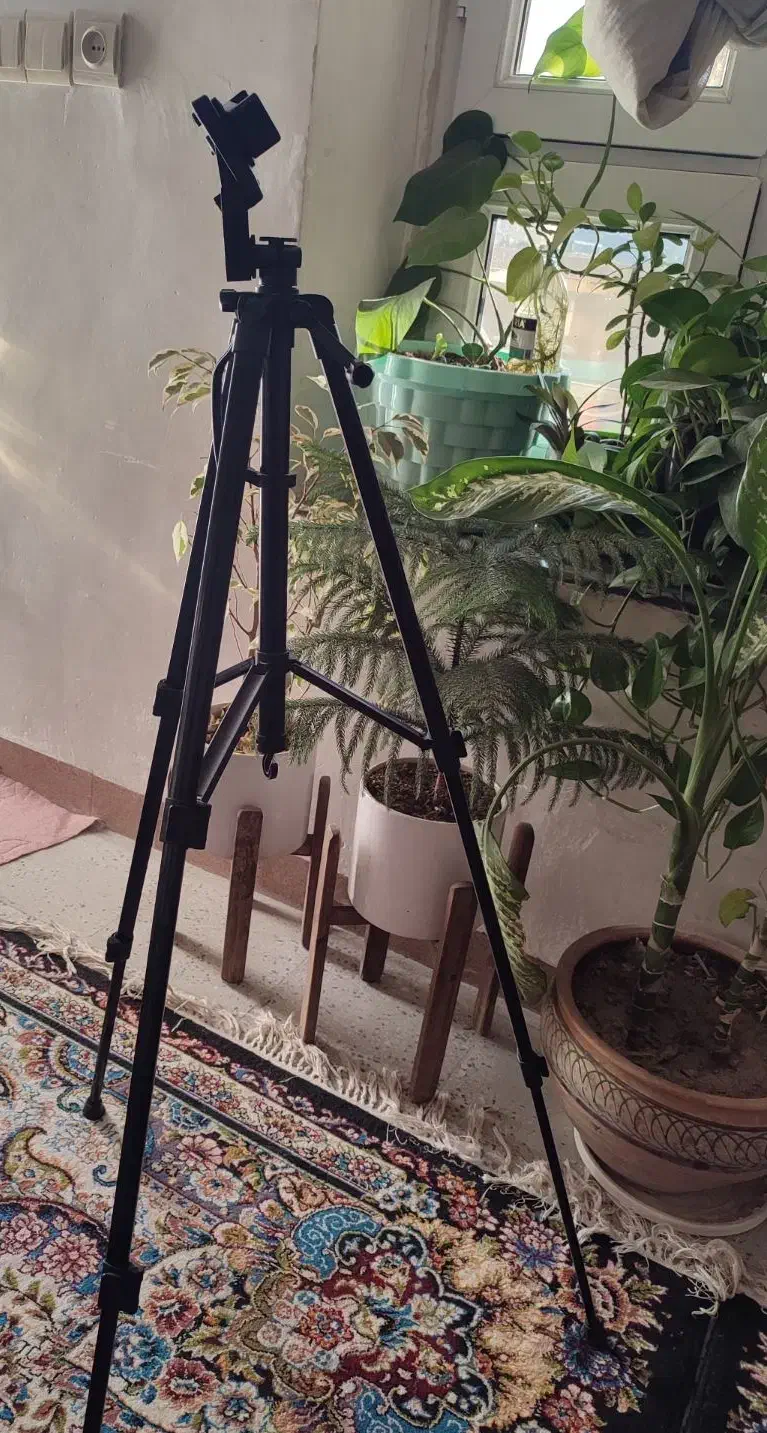 پایه موبایل|دوربین عکاسی و فیلم‌برداری|کوه چنار, |دیوار