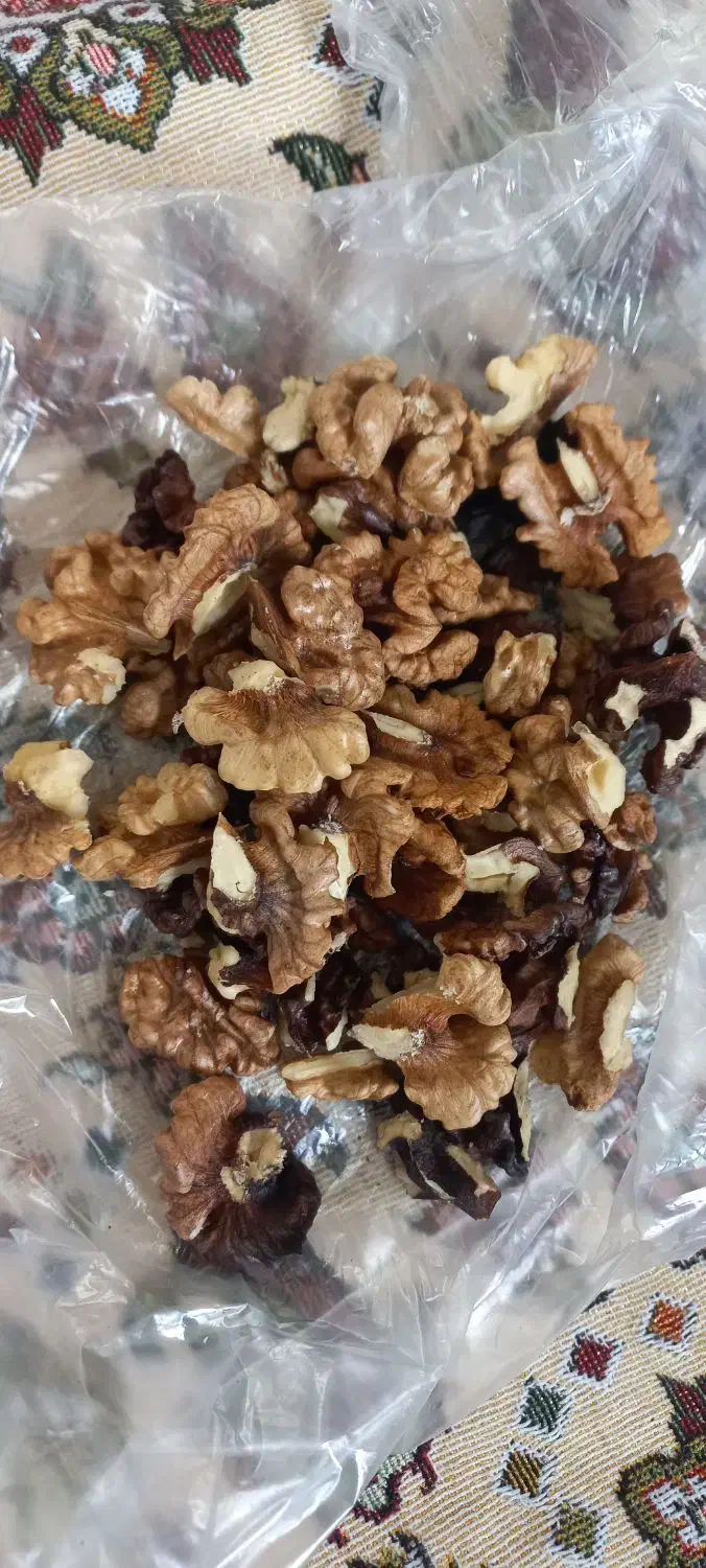 گردو، مال امسال به صورت هزاری به فروش میرسد|خوردنی و آشامیدنی|جوانرود, |دیوار