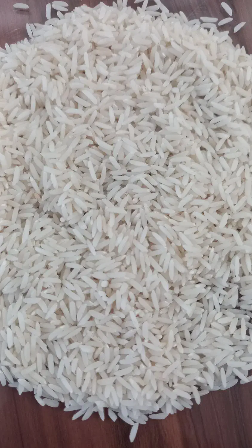 برنج درجه یک هاشمی|خوردنی و آشامیدنی|رشت, باهنر|دیوار