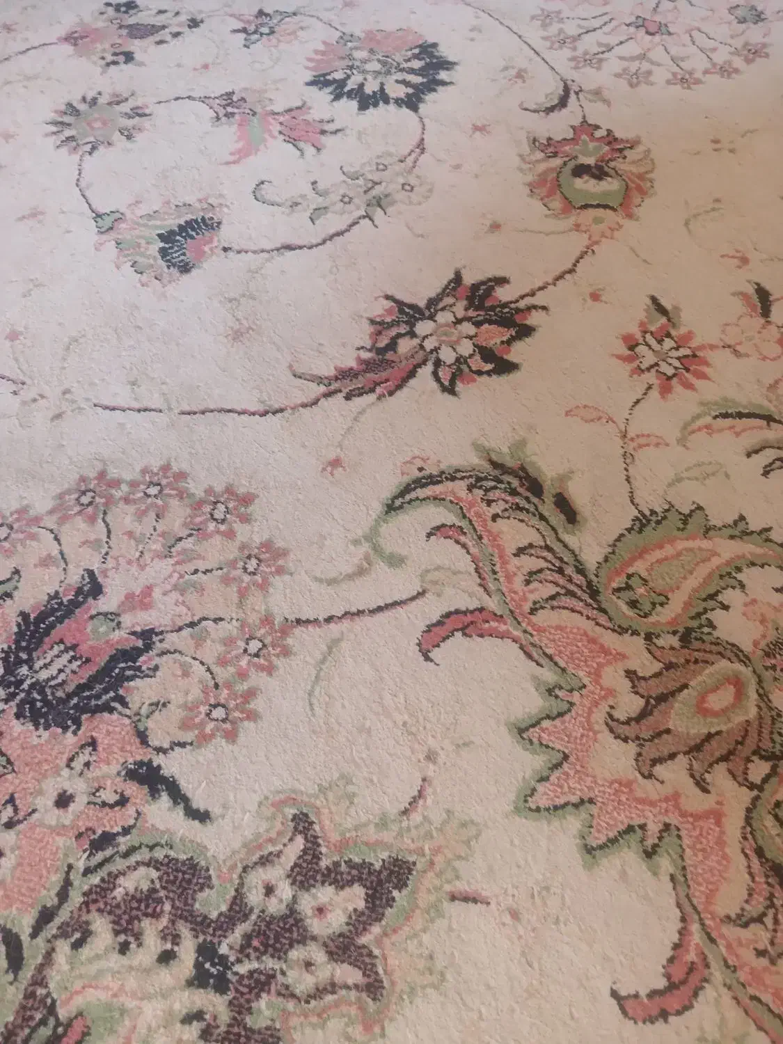 فرش ۱۲متری مشهد|فرش|پردیس, فاز ۱۱|دیوار