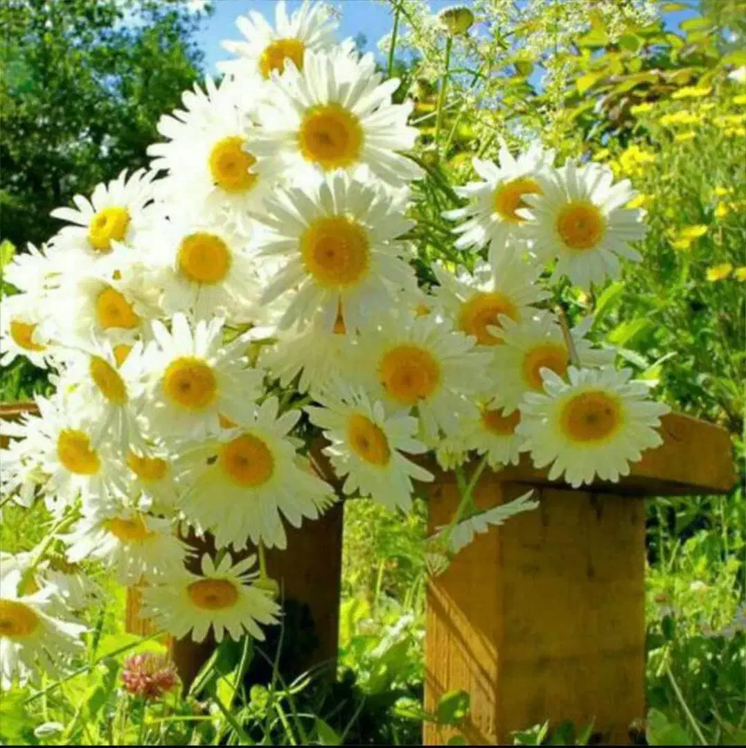 پیمانکاری غذای پرسنلی و شرکتی و ویژه|استخدام خدمات فروشگاه و رستوران|صفادشت, |دیوار