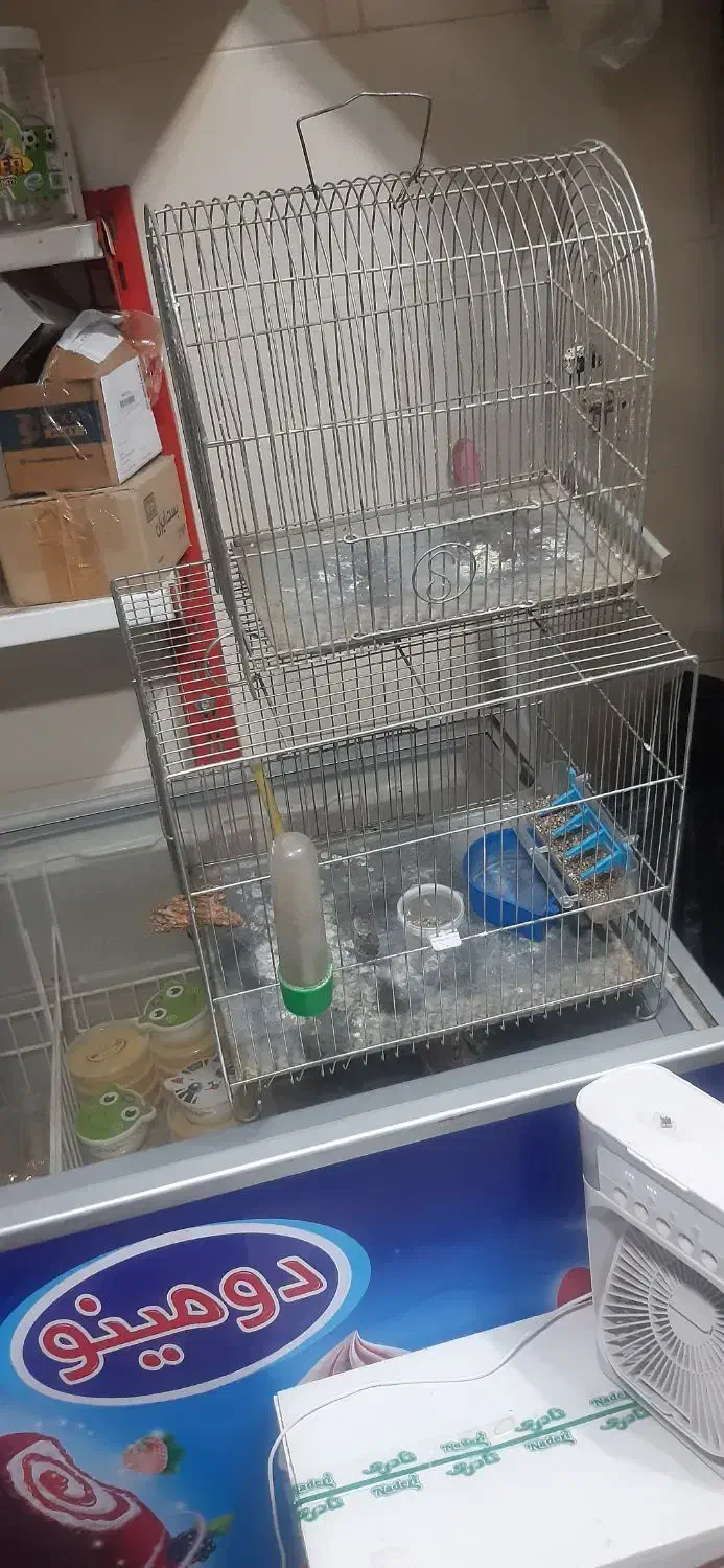 دوتا قفس پرنده کوچک و بزرگ|لوازم جانبی حیوانات|سنندج, |دیوار