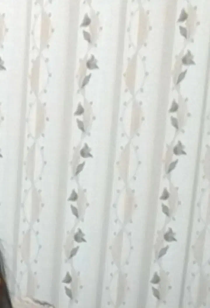 پرده ی پذیرایی|پرده، رانر، رومیزی|تبریز, |دیوار