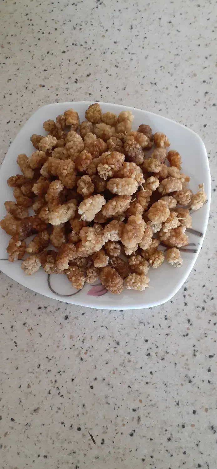 توت خشک کاملا ارگانیک|خوردنی و آشامیدنی|مشهد, عسگریه|دیوار