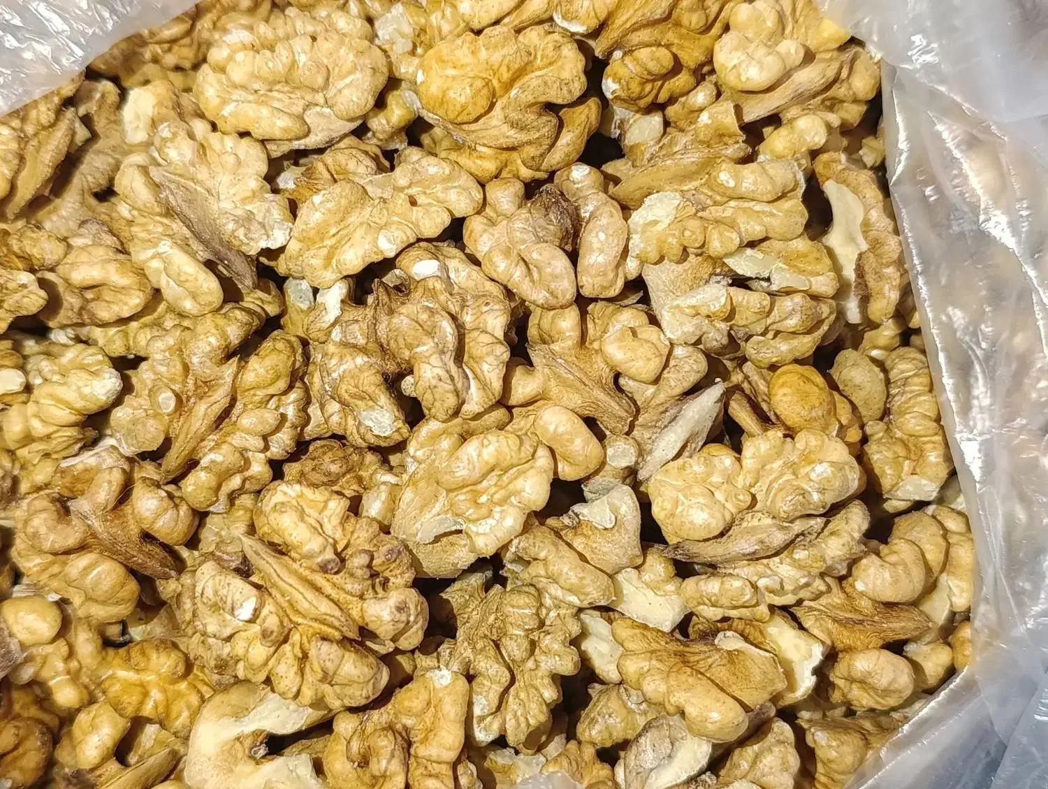 گردو|خوردنی و آشامیدنی|شیراز, آزادگان|دیوار