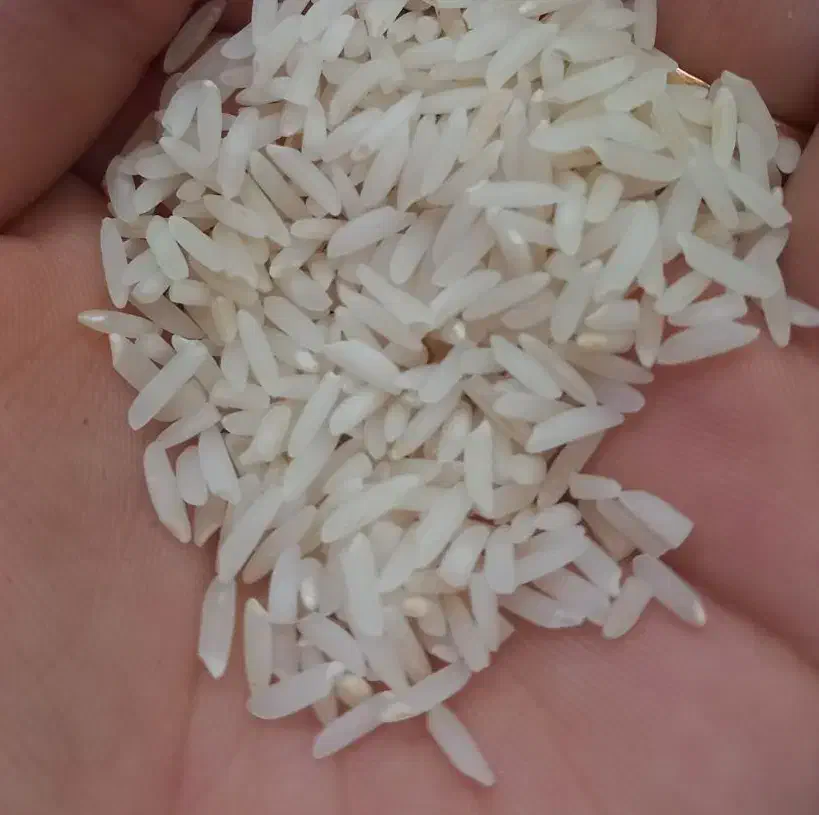 برنج هاشمی و علی کاظمی|خوردنی و آشامیدنی|گوراب زرمیخ, |دیوار