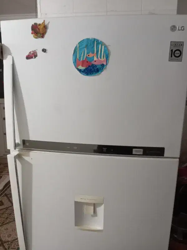 یخچال LG|یخچال و فریزر|بندرعباس, |دیوار