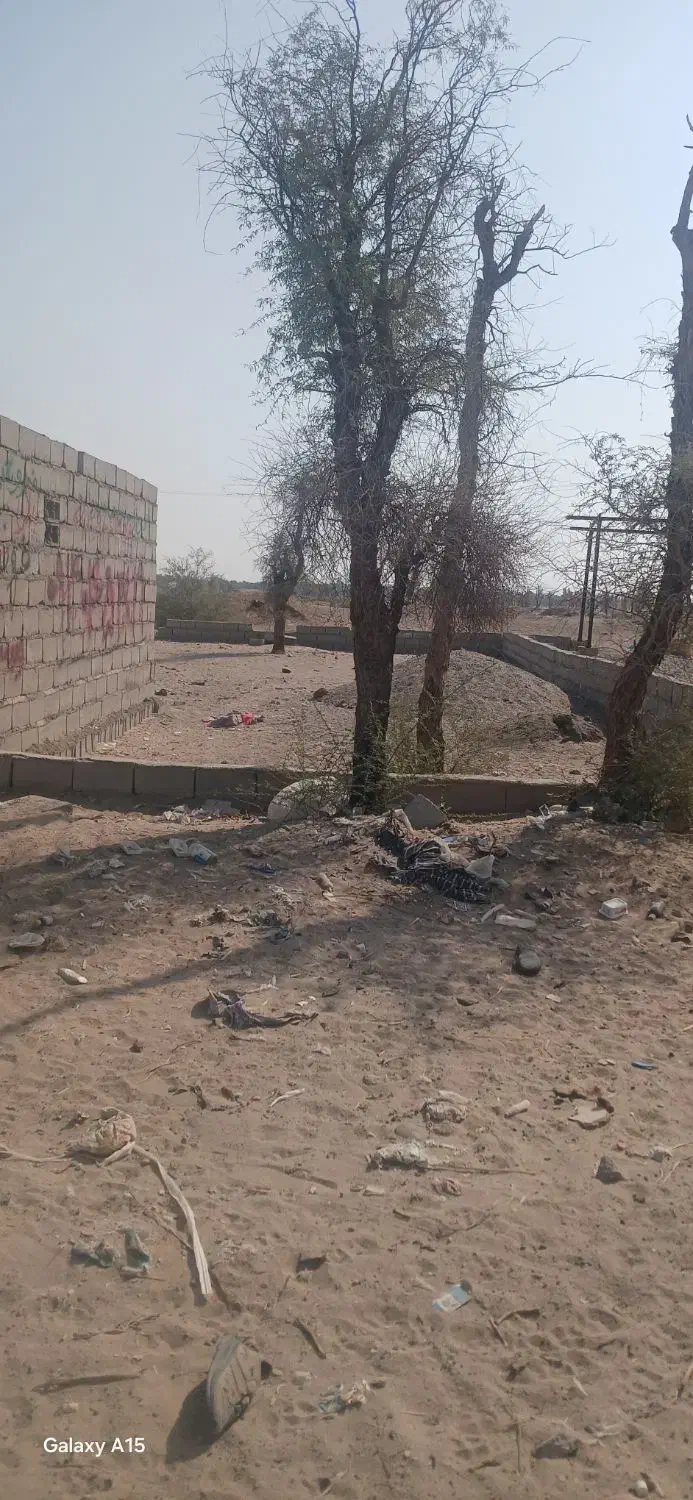 زمین فروشی شهرک امام علی|فروش زمین و ملک کلنگی|ریگان, |دیوار