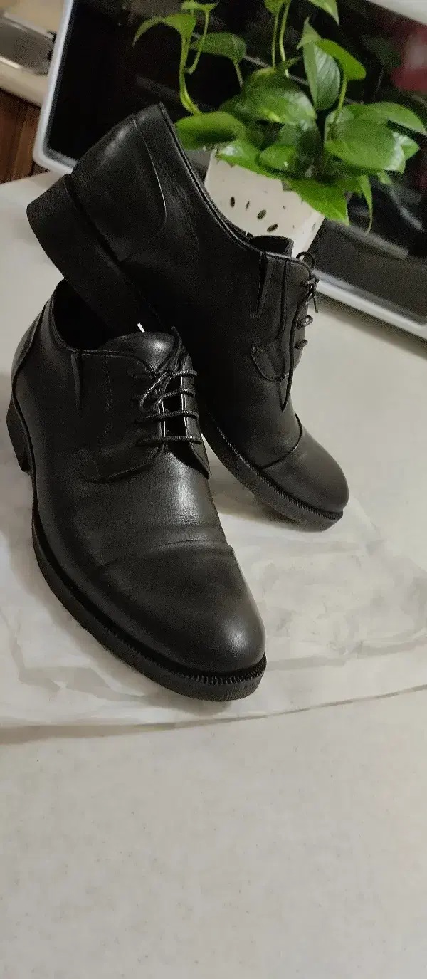 کفش چرم مردانه مجلسی.|کیف، کفش، کمربند|هشتگرد, فاز ۳ مهستان|دیوار