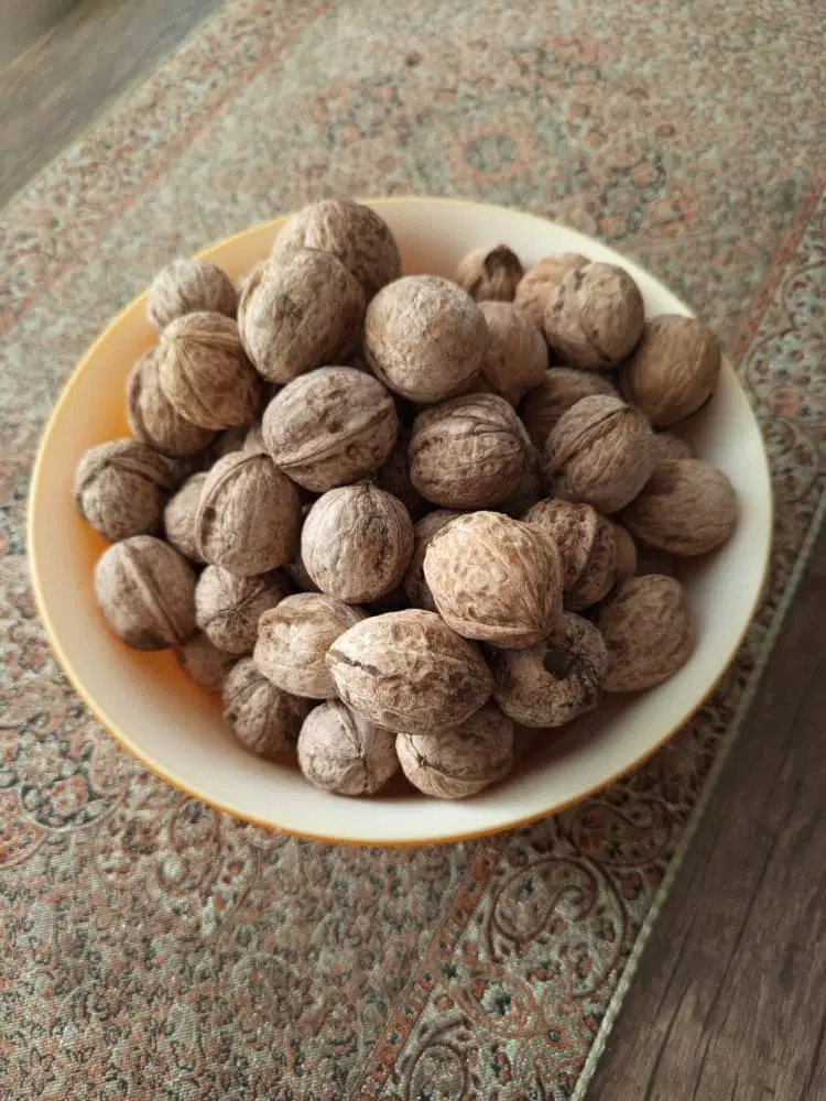 گردو|خوردنی و آشامیدنی|شیراز, ریشمک|دیوار