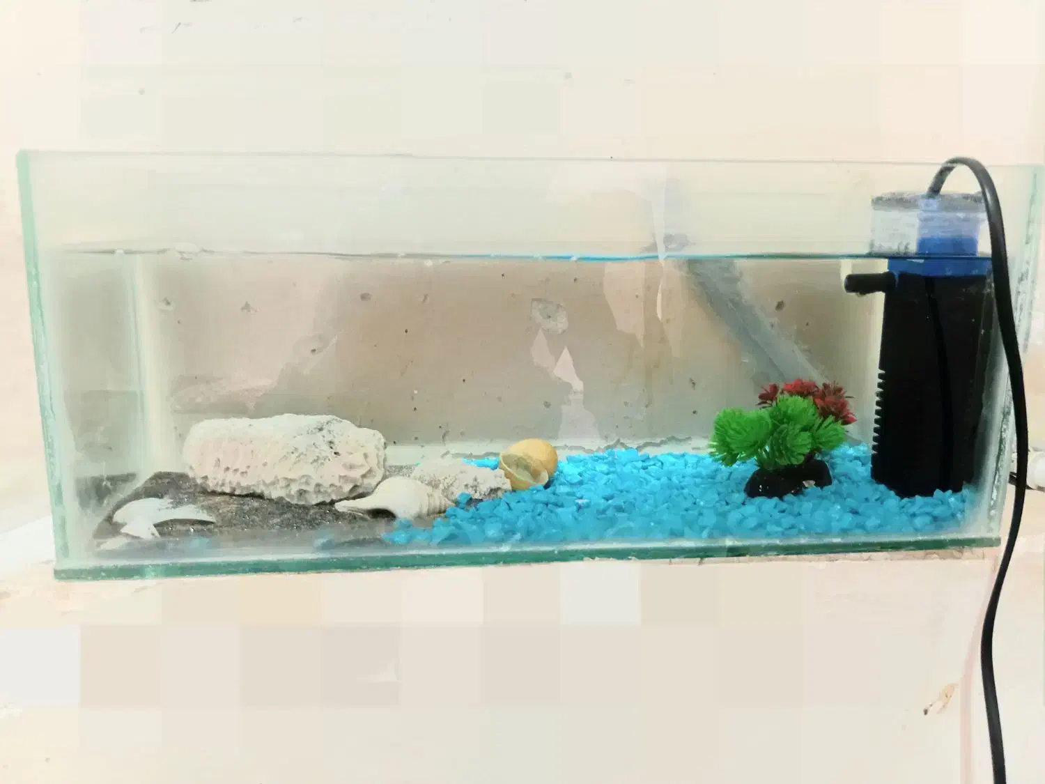 آکواریوم شیک و جمعوجور همراه دکور کامل|ماهی|یزد, |دیوار