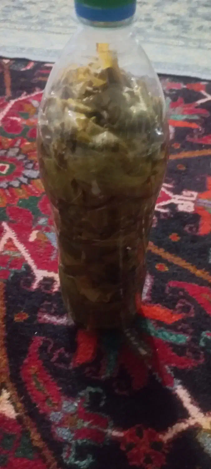 فروش برگ مو کشمش تازه امسال ۷۰هزار تومان|خوردنی و آشامیدنی|آذرشهر, |دیوار