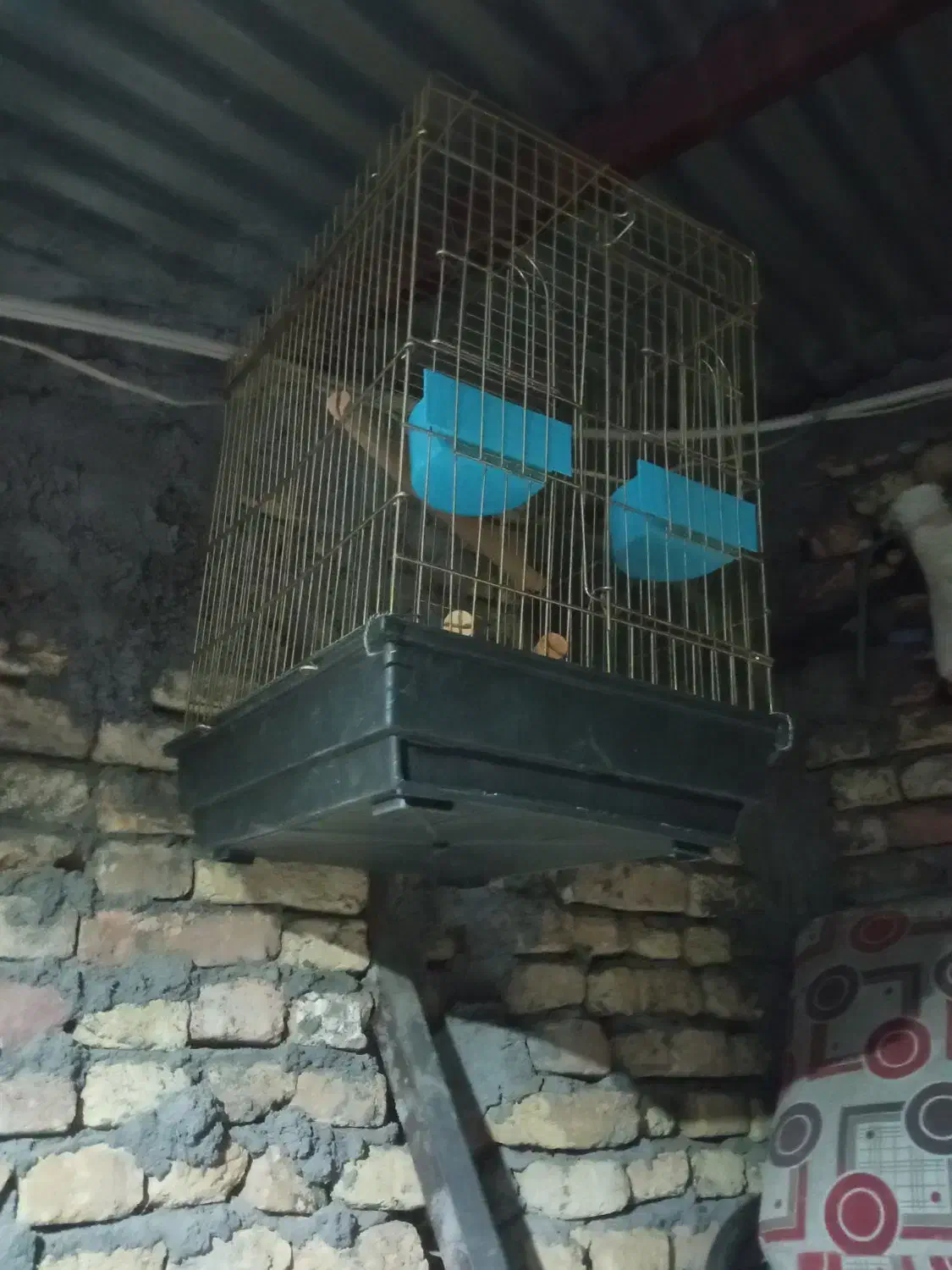 فروش قفسه پرنده|لوازم جانبی حیوانات|لاران, |دیوار