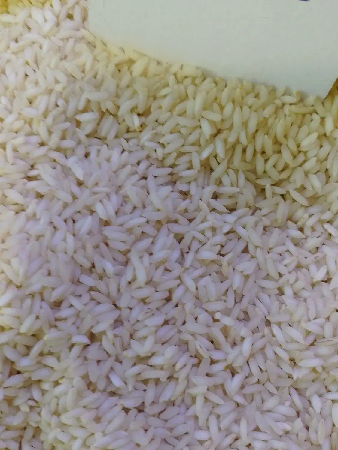 عنبربو شیروان چرداول|خوردنی و آشامیدنی|کرمانشاه, |دیوار