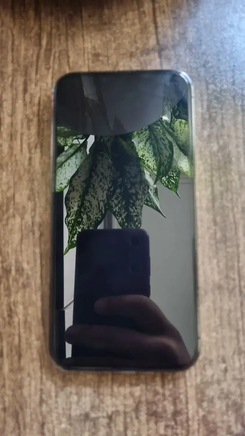 iphone 13pro max ایفون ۱۳ پرو مکس|موبایل|تهران, مشیریه|دیوار