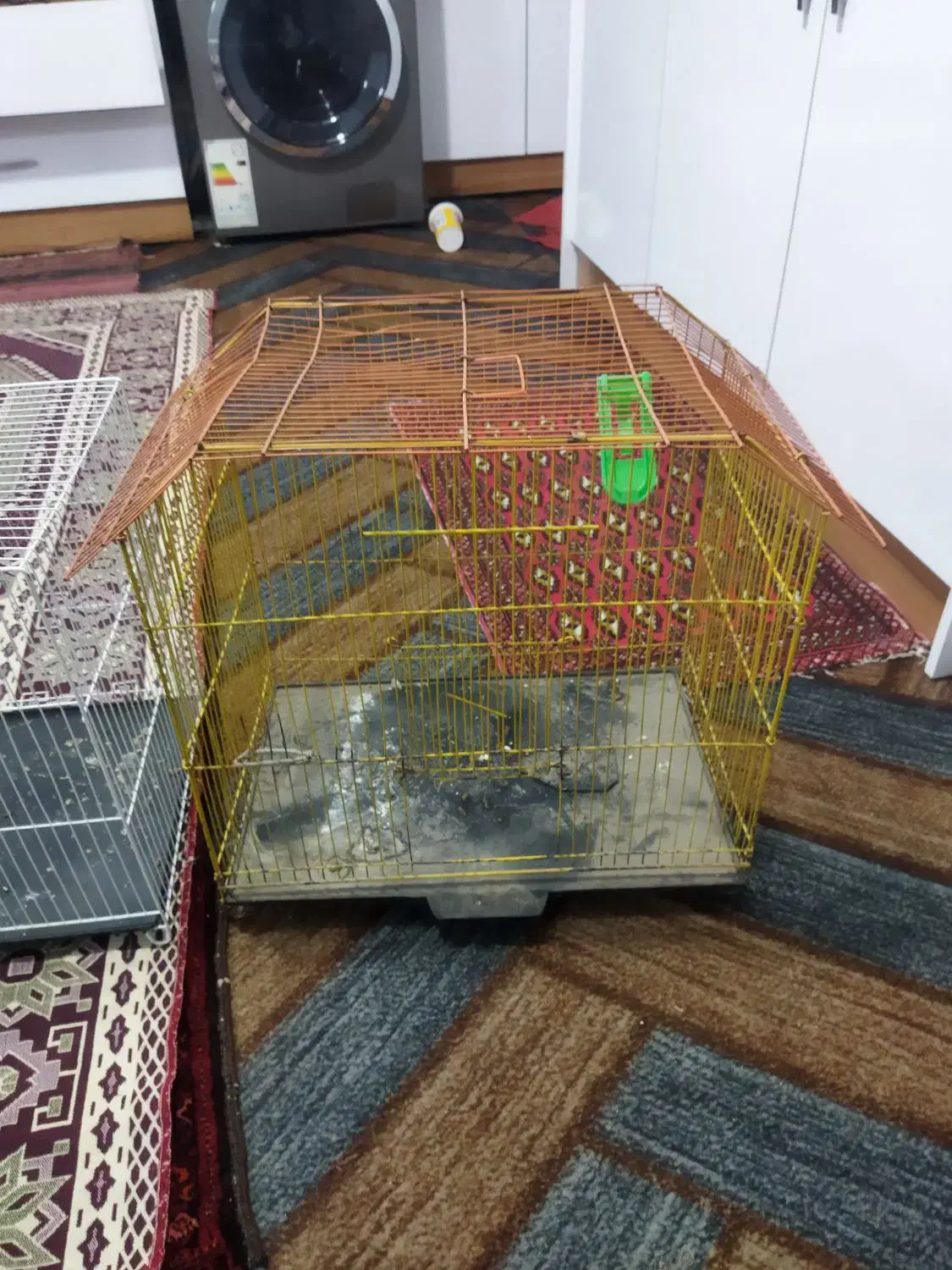 قفس پرنده|لوازم جانبی حیوانات|مشهد, بهارستان|دیوار