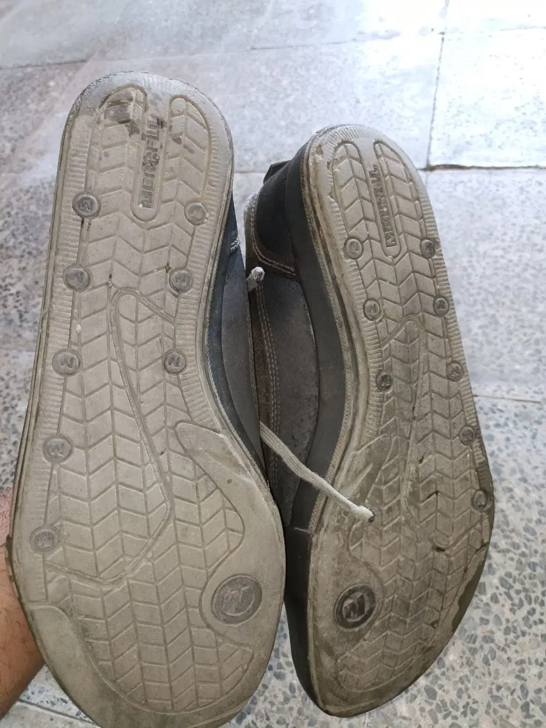 کفش مرل|کیف، کفش، کمربند|دورود, |دیوار