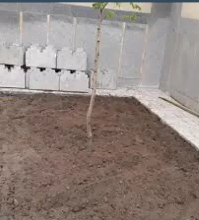 کشاورزی خاک کود مناسب|گل و گیاه طبیعی|اهواز, پادادشهر|دیوار