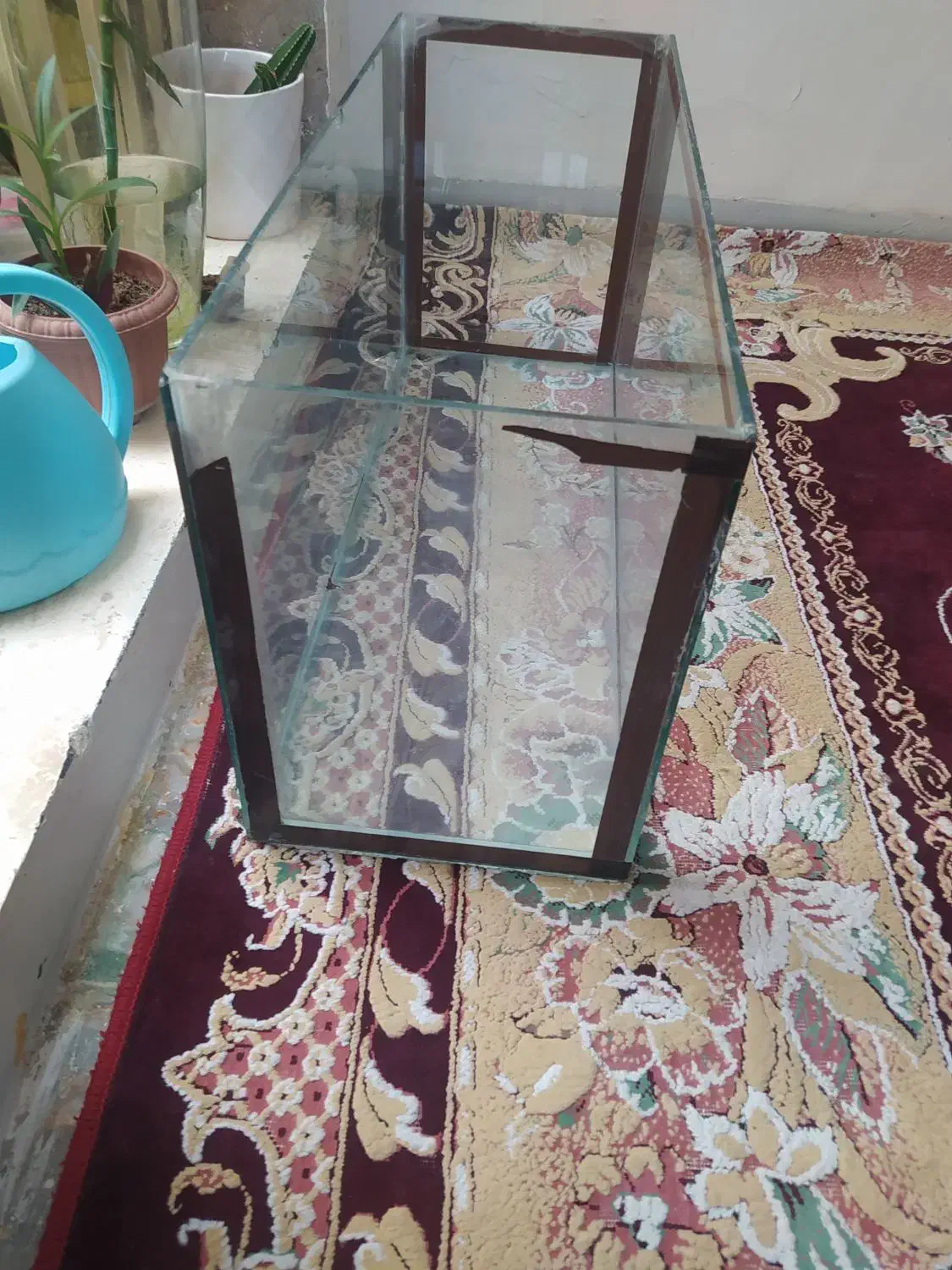 اکواریوم بزرگ|ماهی|شیراز, کوزه گری|دیوار
