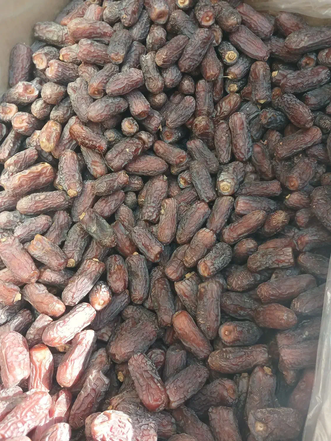 خرما پیاروم امسالی|عمدهفروشی|اصفهان, جلفا|دیوار