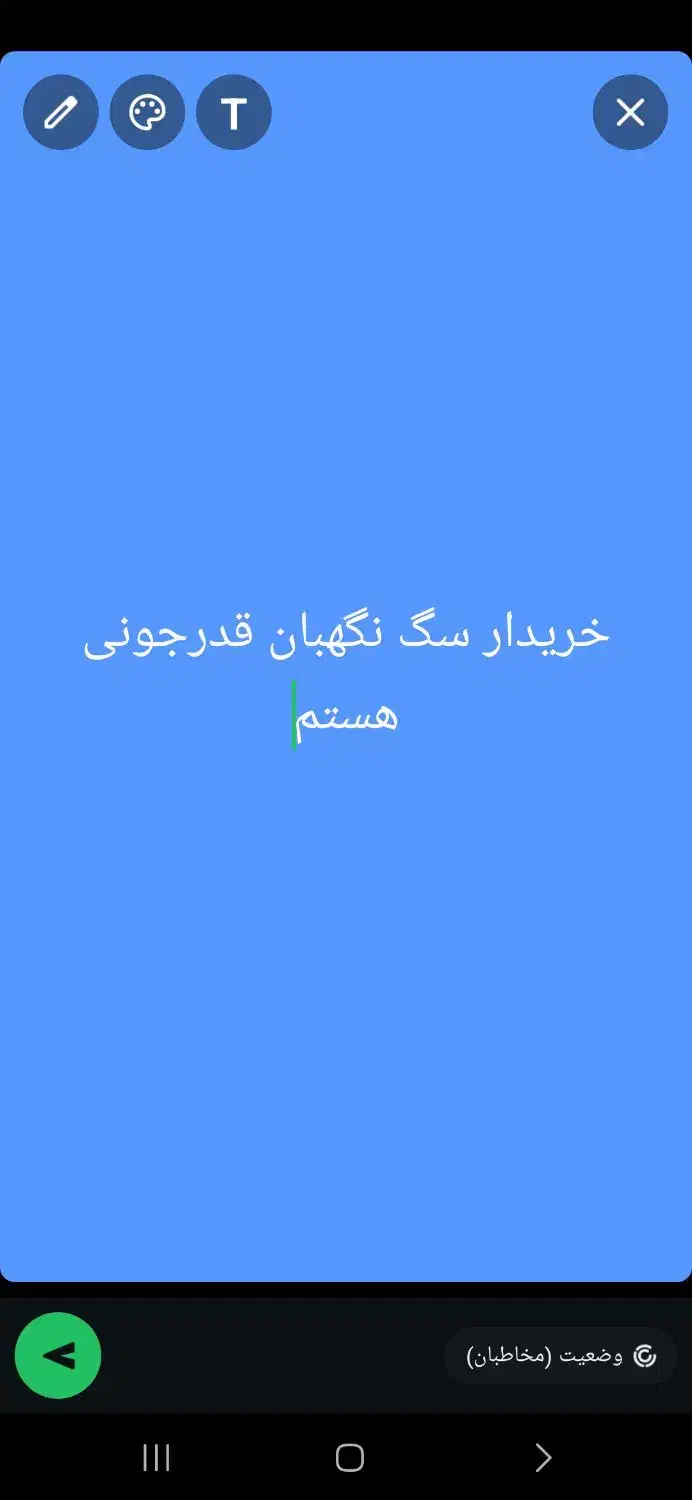 سگ قدرجونی|سگ|مسجد سلیمان, |دیوار