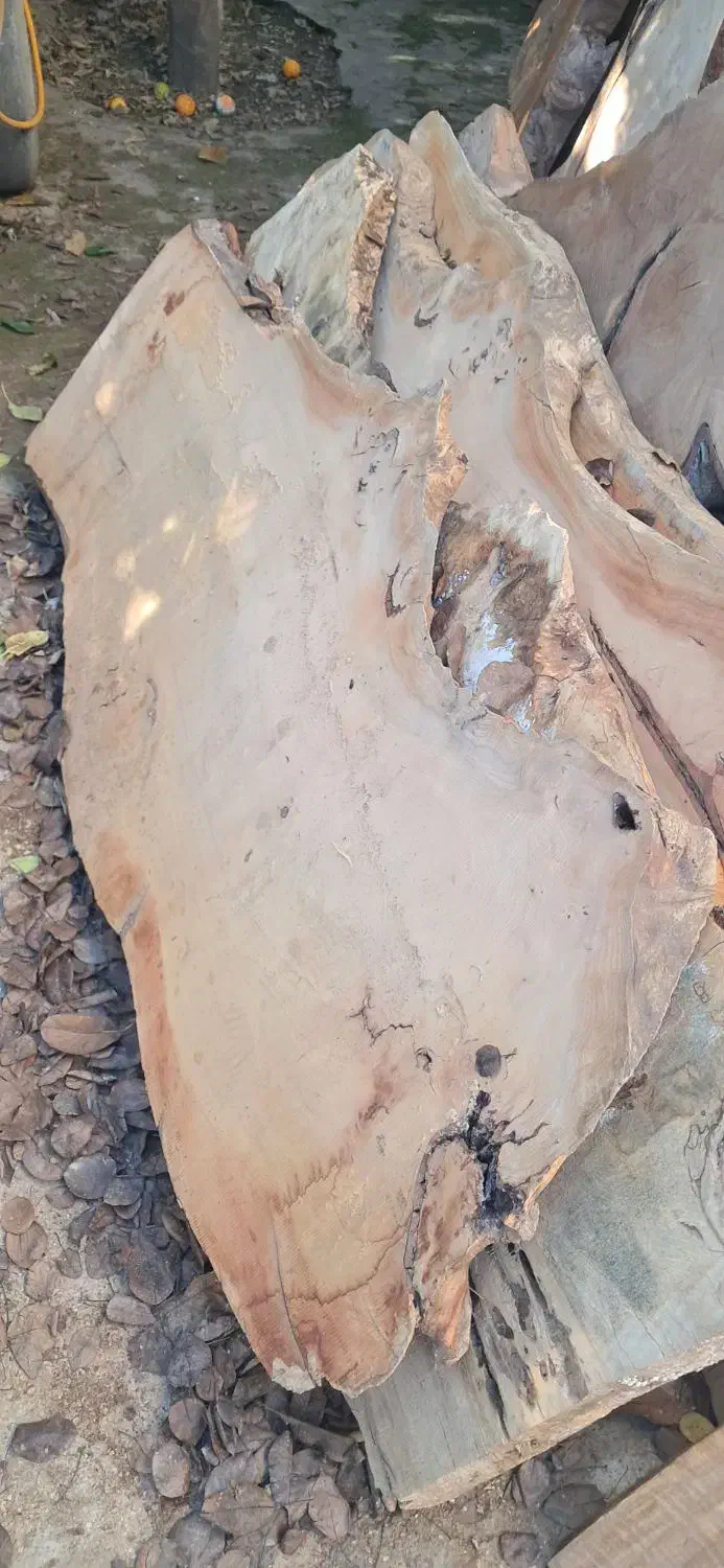 میز و کالای چوبی طبیعی جنگلی|میز و صندلی غذاخوری|ساری, |دیوار