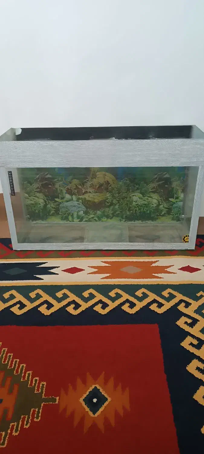 آکواریوم و پایه فرفژه|ماهی|خرم‌آباد, |دیوار