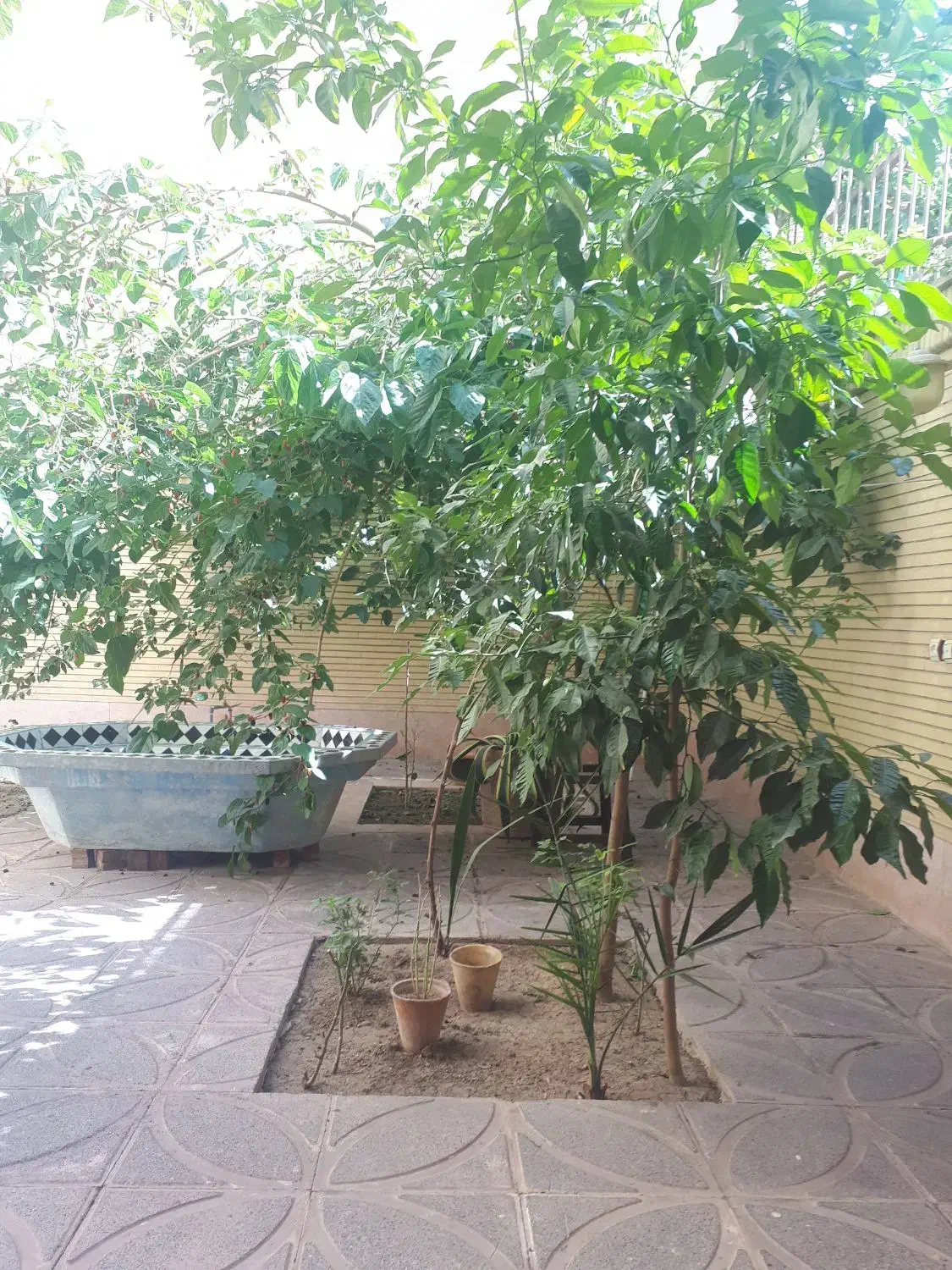 منزل دربست|فروش خانه و ویلا|اصفهان, دستگرده|دیوار