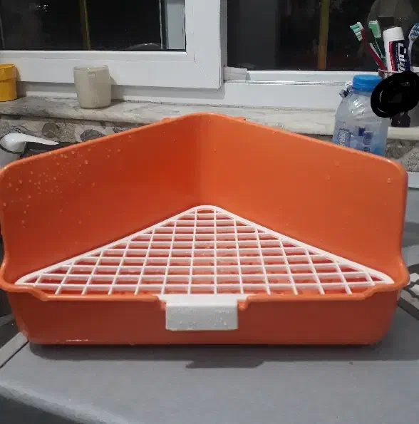 توالت/دستشویی/ظرف ادرار خرگوش|موش و خرگوش|فومن, |دیوار