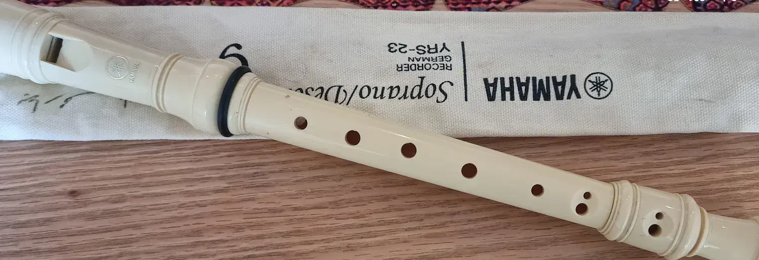 فلوت یاماها|سازهای بادی|شیراز, حافظیه|دیوار