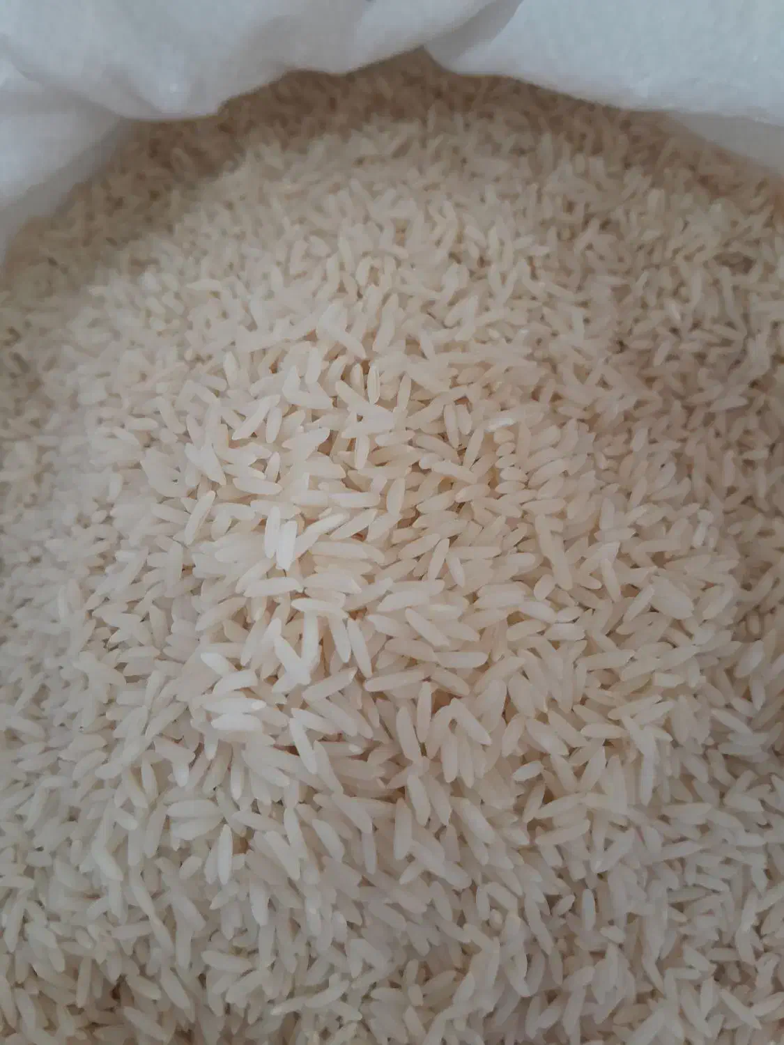 برنج هاشمی محلی درجه یک|خوردنی و آشامیدنی|پرهسر, |دیوار