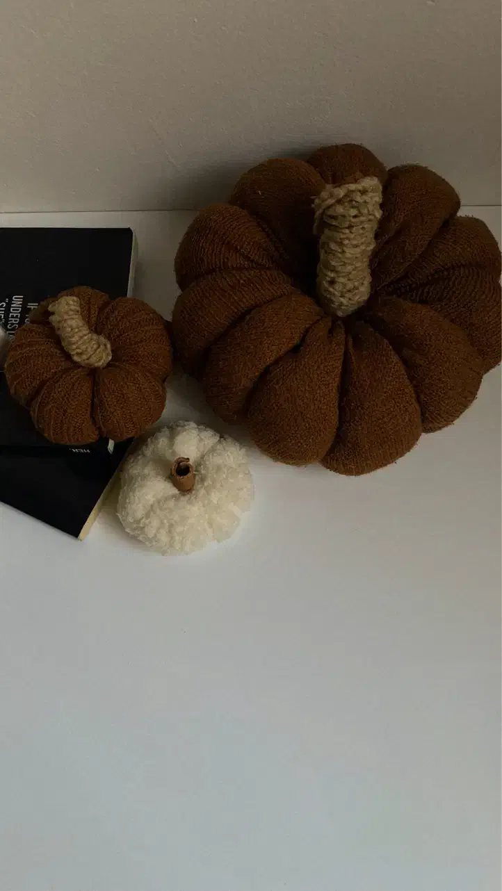 کدوی دکوری|صنایع دستی و سایر لوازم تزئینی|همدان, |دیوار