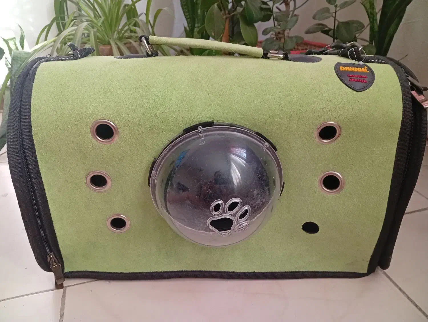 باکس سگ و گربه|لوازم جانبی حیوانات|پردیس, فاز ۳|دیوار