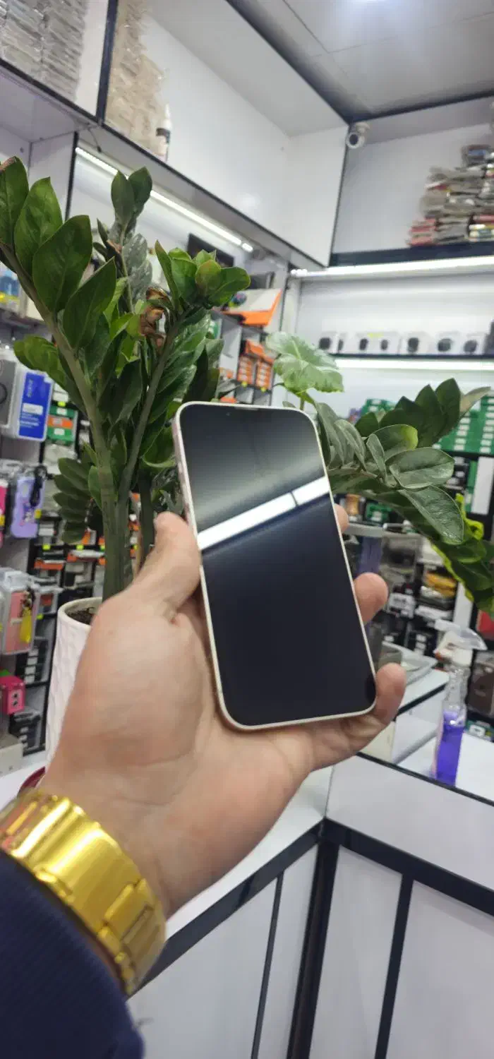 iphone 13|موبایل|قرچک, مهدیه|دیوار