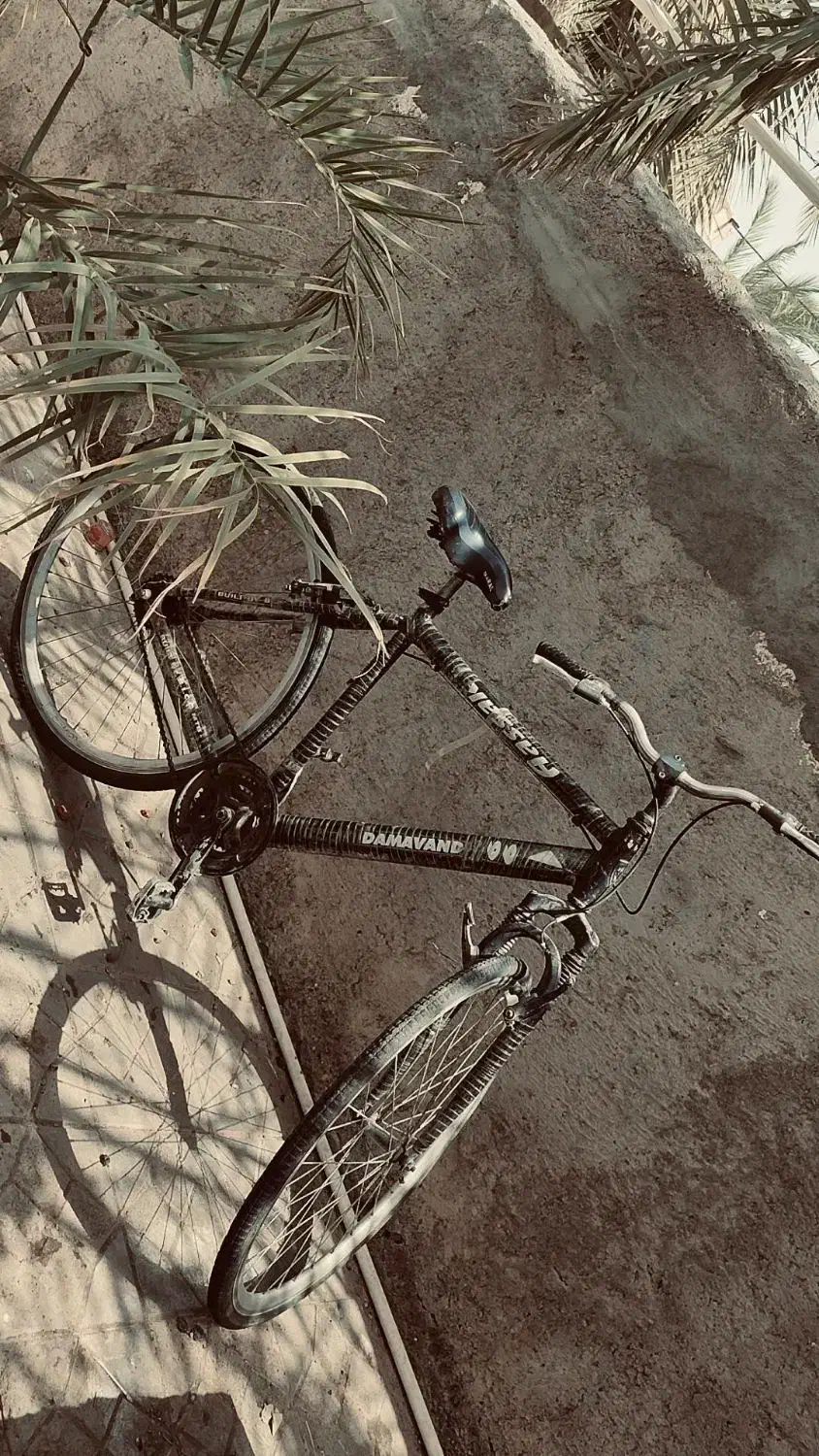 دوچرخه معاوضه با گوشی در حد خودش|دوچرخه، اسکیت، اسکوتر|بم, |دیوار