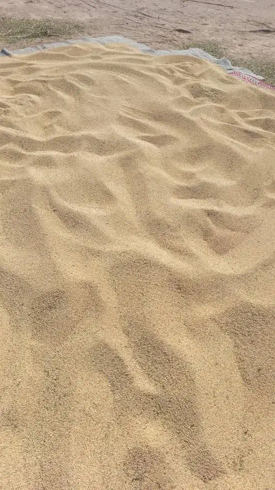 ارزن محلی|لوازم جانبی حیوانات|جازموریان, |دیوار