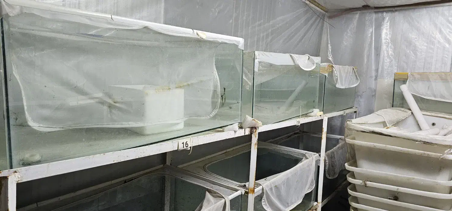 اکواریوم با پایه|ماهی|مشهد, دانشجو|دیوار