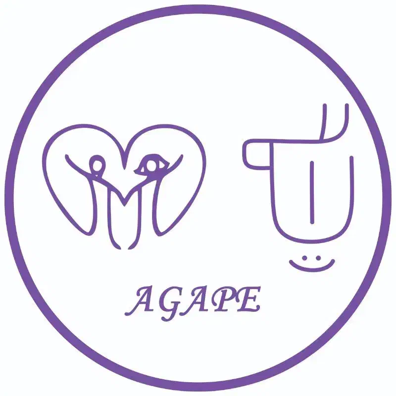 افتتاحیه آگاپه|بدلیجات|آبیک, |دیوار