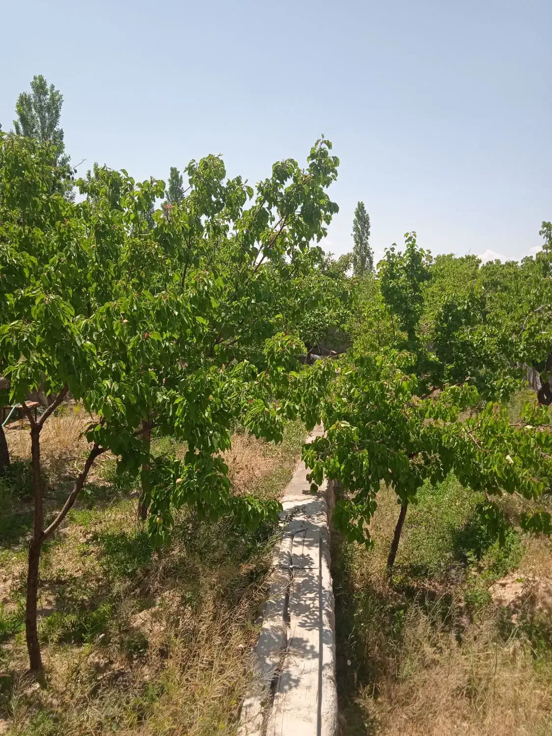 اجاره سوییت ویلا|اجارهٔ کوتاهمدت ویلا و باغ|سهند, |دیوار