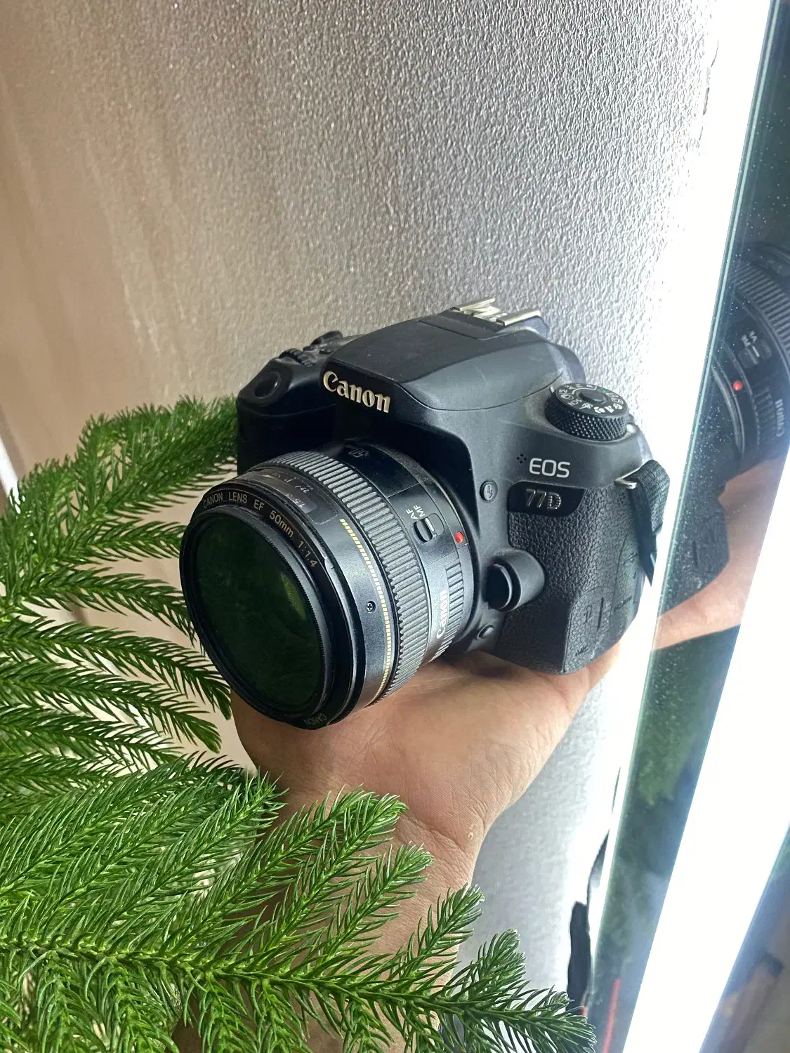 دوربین Canon EOS 77D|دوربین عکاسی و فیلم‌برداری|شیراز, شهرک برف فروشان|دیوار