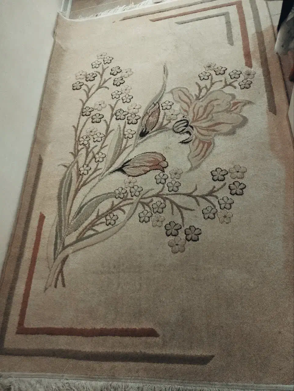 فرش ۳ متری|فرش|شیراز, دلجو|دیوار