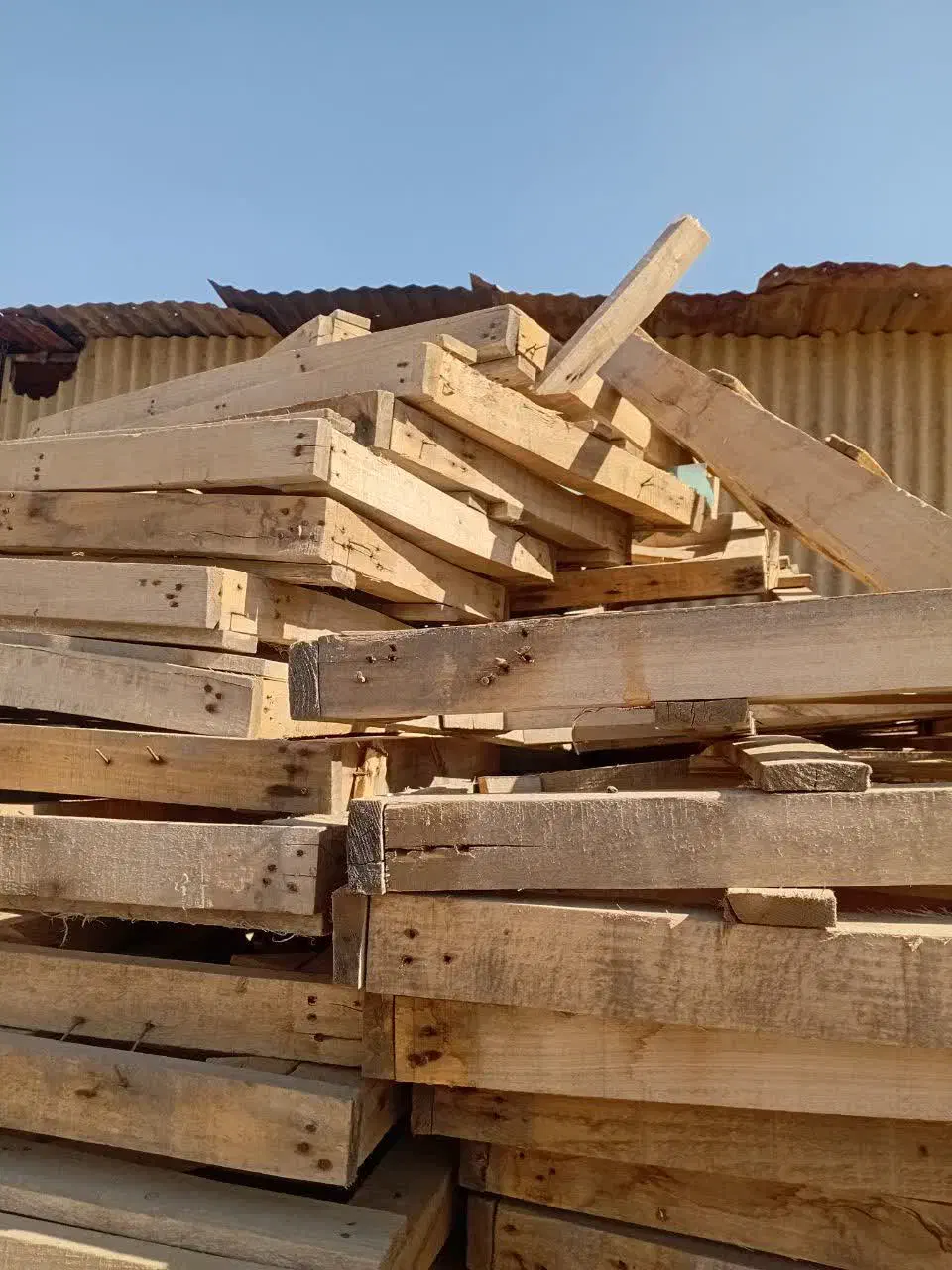 خرید ضعایت نجاری و درخت وهیزم و ام بی اف|خدمات باغبانی و درختکاری|قم, ولیعصر|دیوار